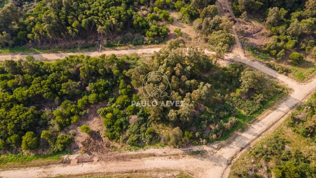 Terreno en Piriápolis, propiedad 262887 -Imagen 7