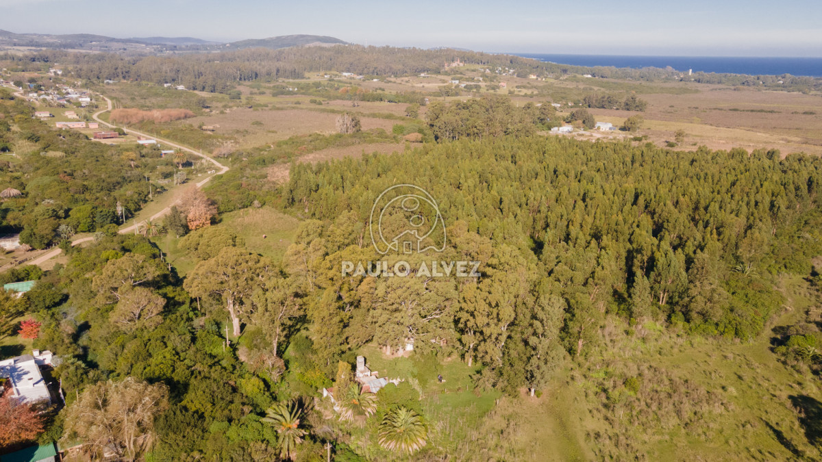 Chacra en Piriápolis, propiedad 270330 -Imagen 2