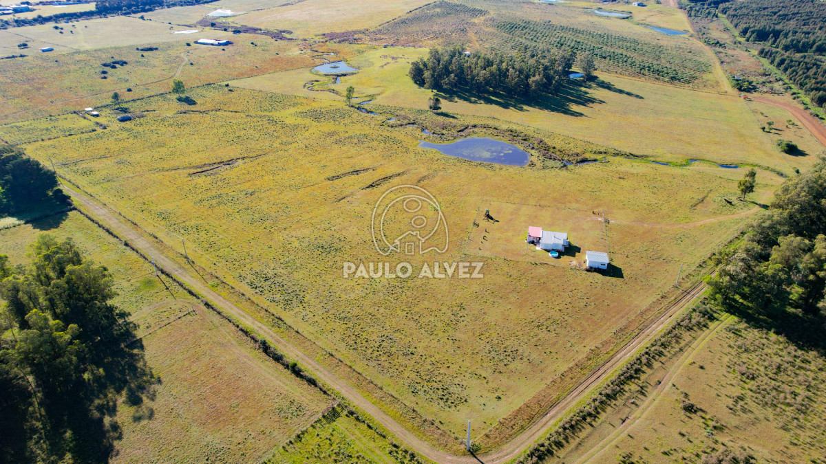 Chacra en Pan de azucar, propiedad 271212 -Imagen 5