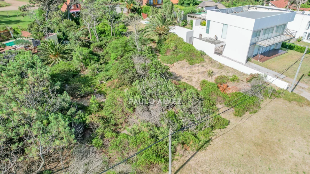 Terreno en San Francisco, propiedad 284721 -Imagen 10