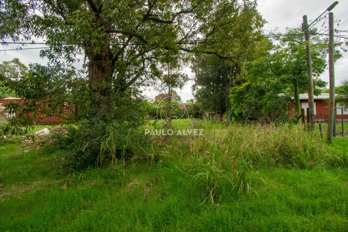 Terreno en Piriápolis, propiedad 288431 -Imagen 4