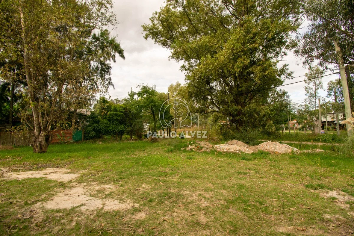 Terreno en Piriápolis, propiedad 288431 -Imagen 5