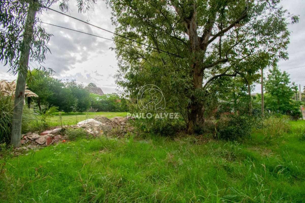 Terreno en Piriápolis, propiedad 288431 -Imagen 8