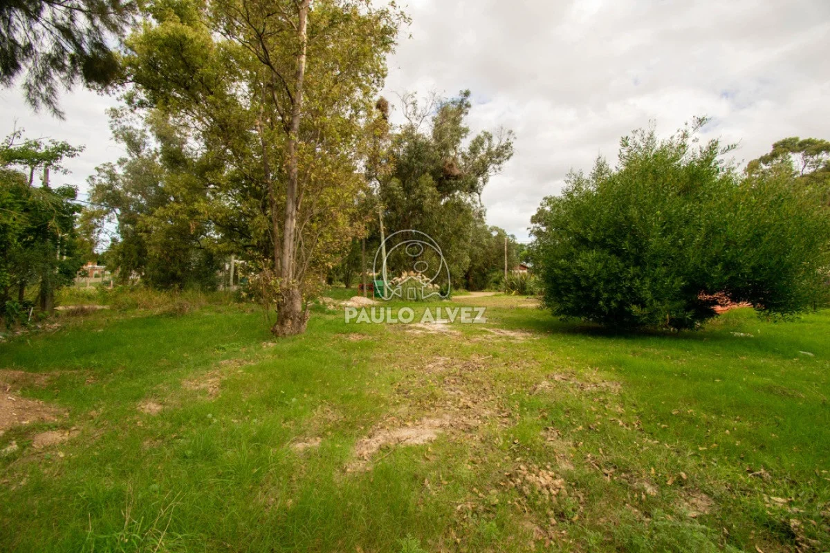 Terreno en Piriápolis, propiedad 288431 -Imagen 9