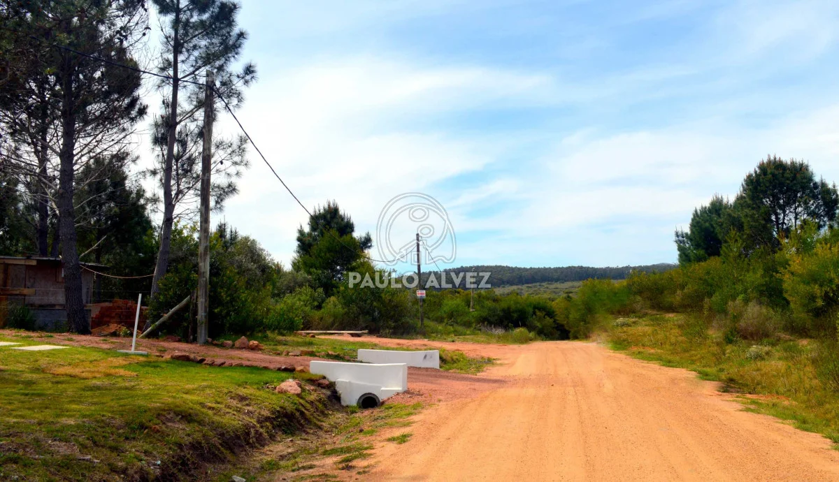 Casa en Punta Colorada, propiedad 291441 -Imagen 2