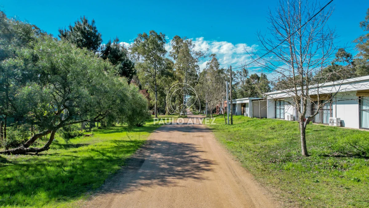 Casa en Punta Colorada, propiedad 295647 -Imagen 4