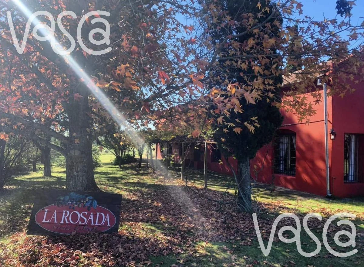 Campo en Nueva Helvecia, propiedad 229324 -Imagen 2