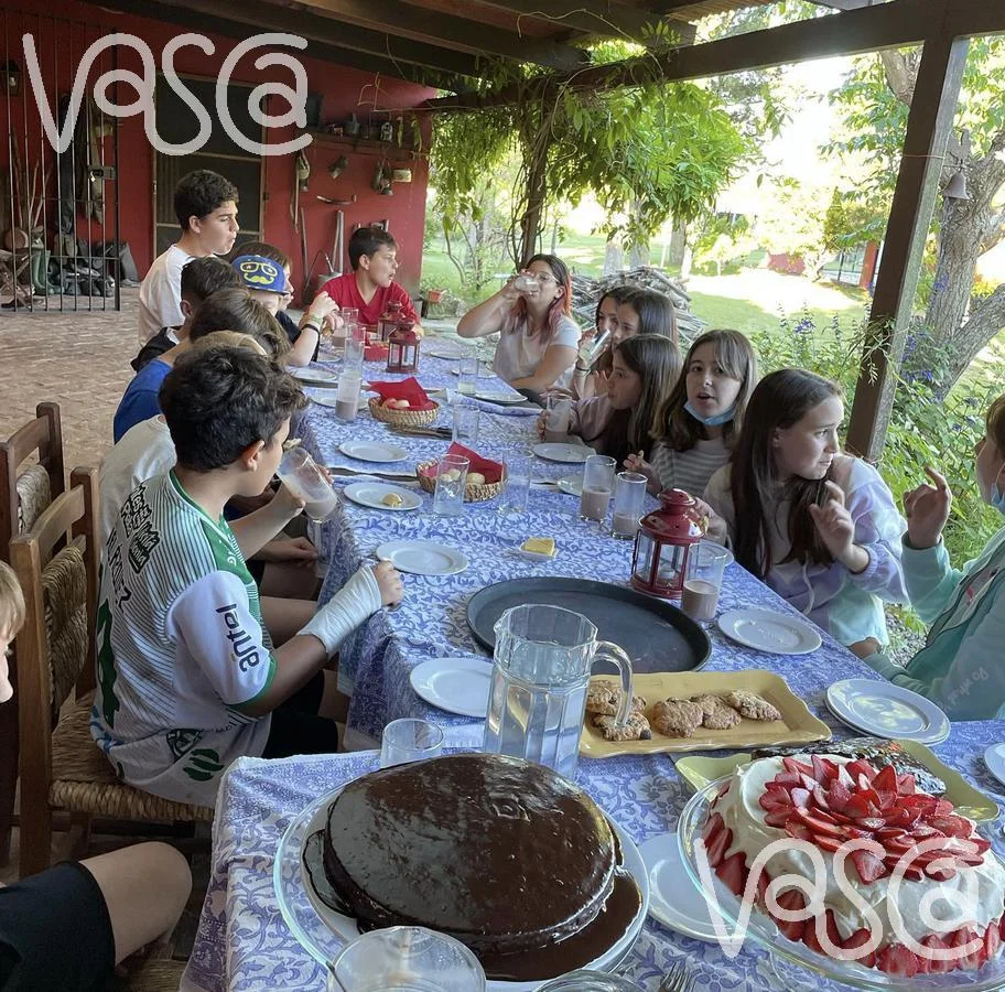 Campo en Nueva Helvecia, propiedad 229324 -Imagen 12