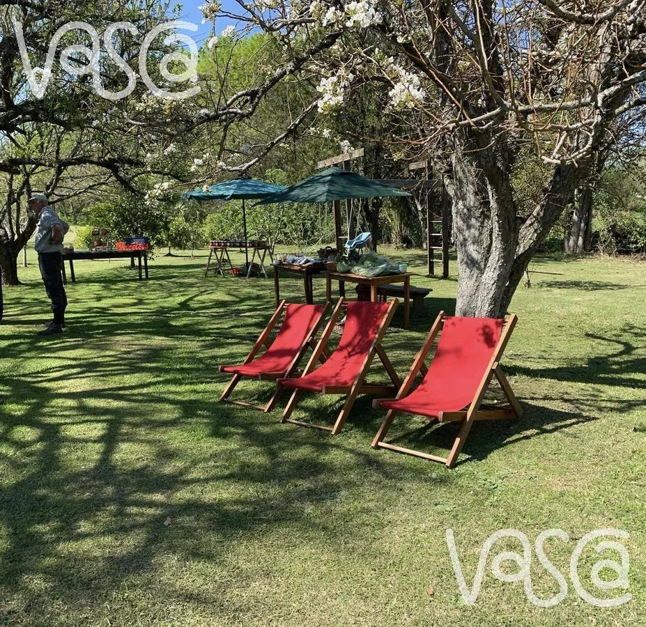 Campo en Nueva Helvecia, propiedad 229324 -Imagen 16