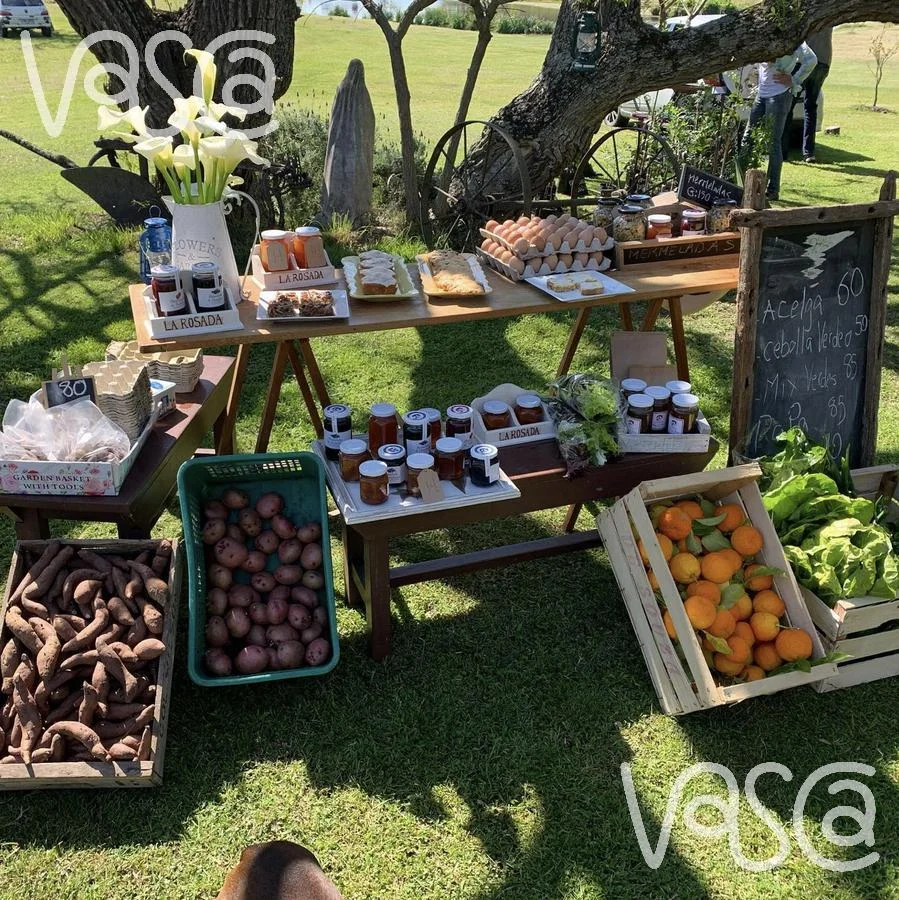 Campo en Nueva Helvecia, propiedad 229324 -Imagen 17