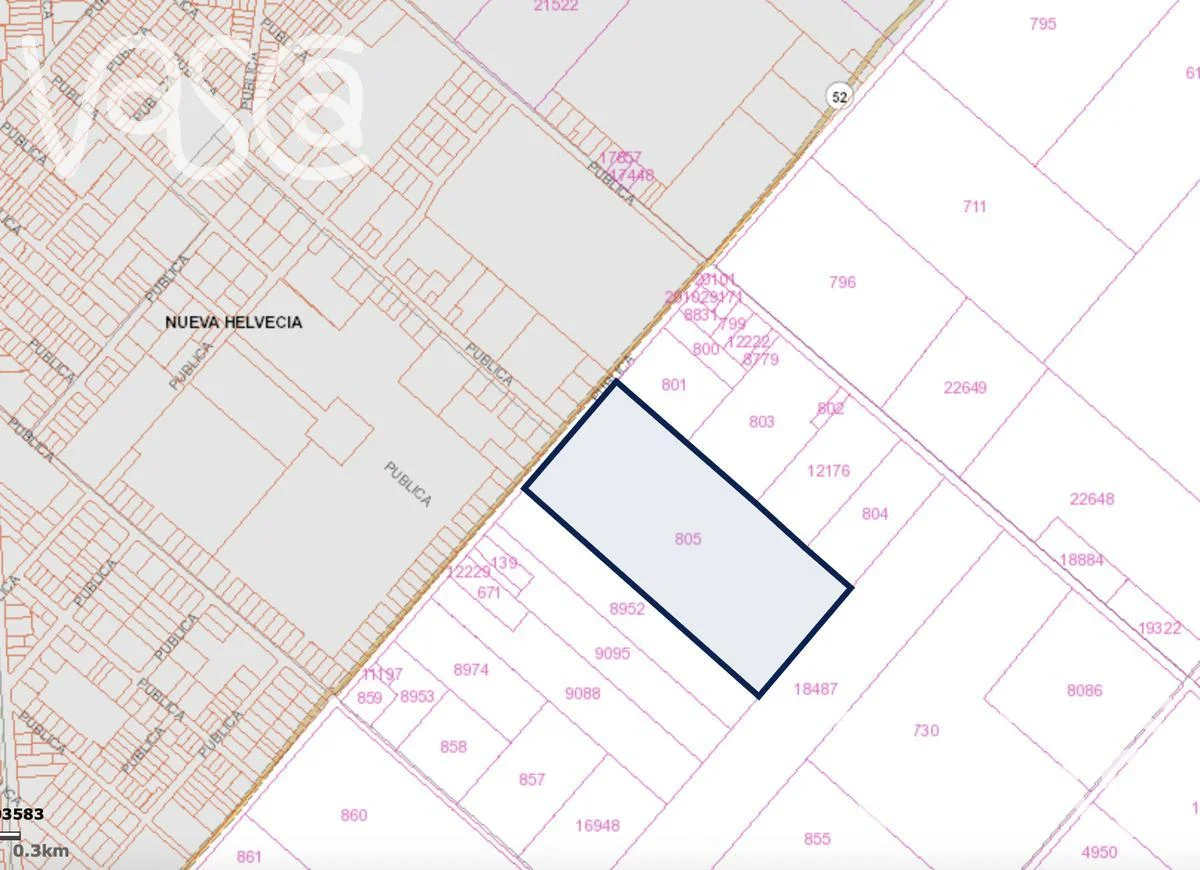 Campo en Nueva Helvecia, propiedad 229324 -Imagen 20