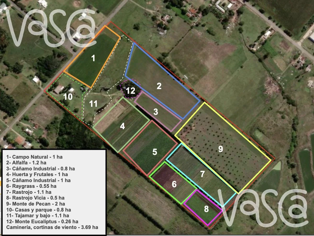Campo en Nueva Helvecia, propiedad 229324 -Imagen 21