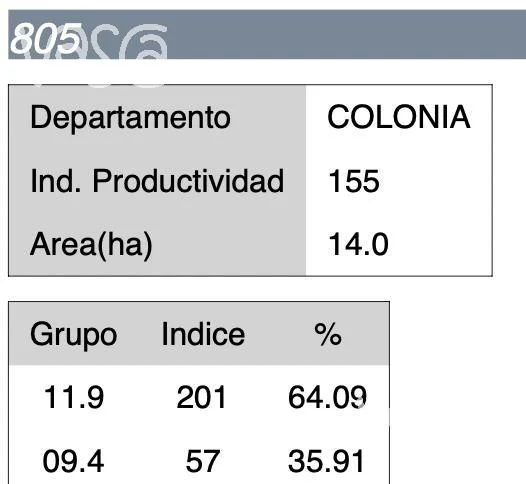 Campo en Nueva Helvecia, propiedad 229324 -Imagen 22
