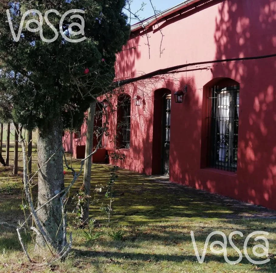 Campo en Nueva Helvecia, propiedad 229324 -Imagen 6