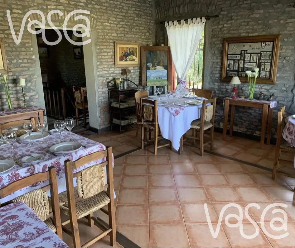 Campo en Nueva Helvecia, propiedad 229324 -Imagen 8