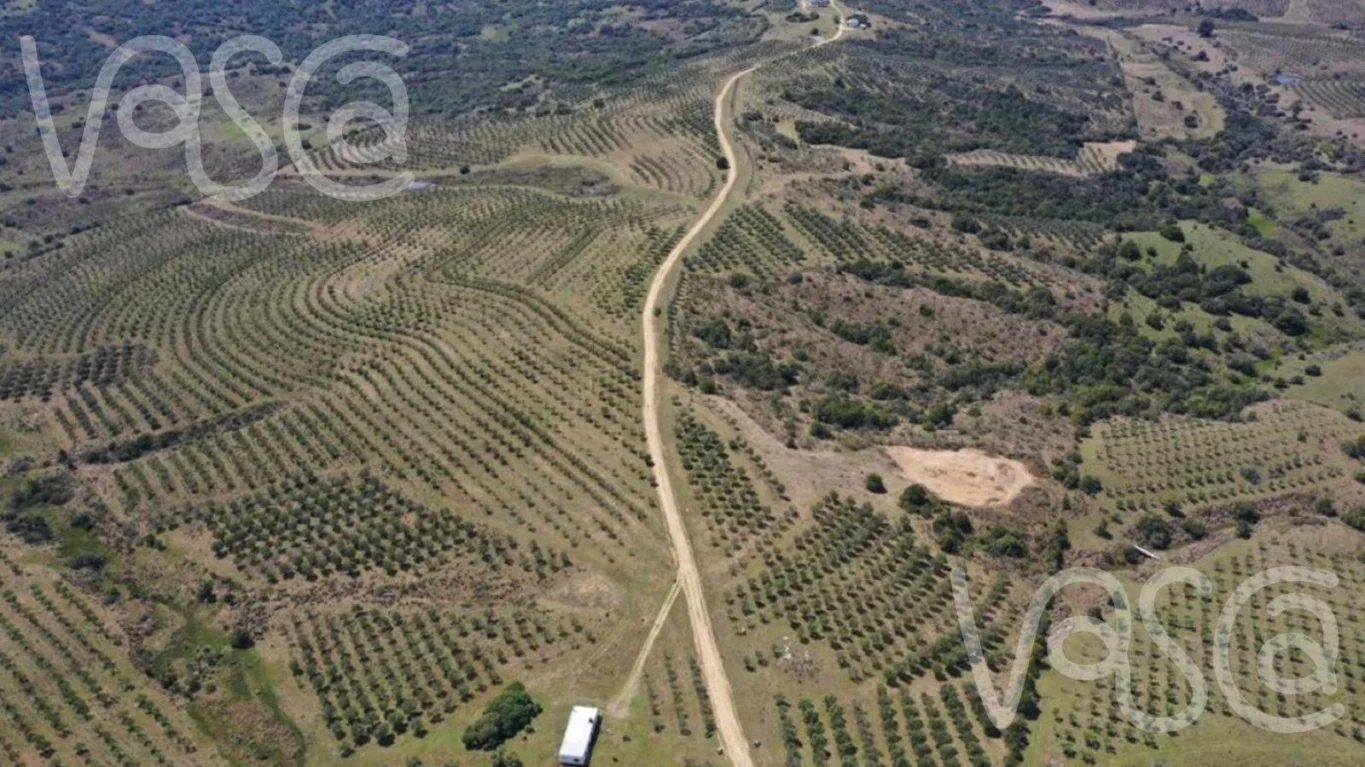 Chacra en Pueblo Eden, propiedad 277712 -Imagen 2