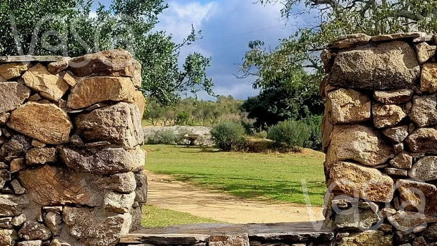 Chacra en Pueblo Eden, propiedad 277712 -Imagen 15