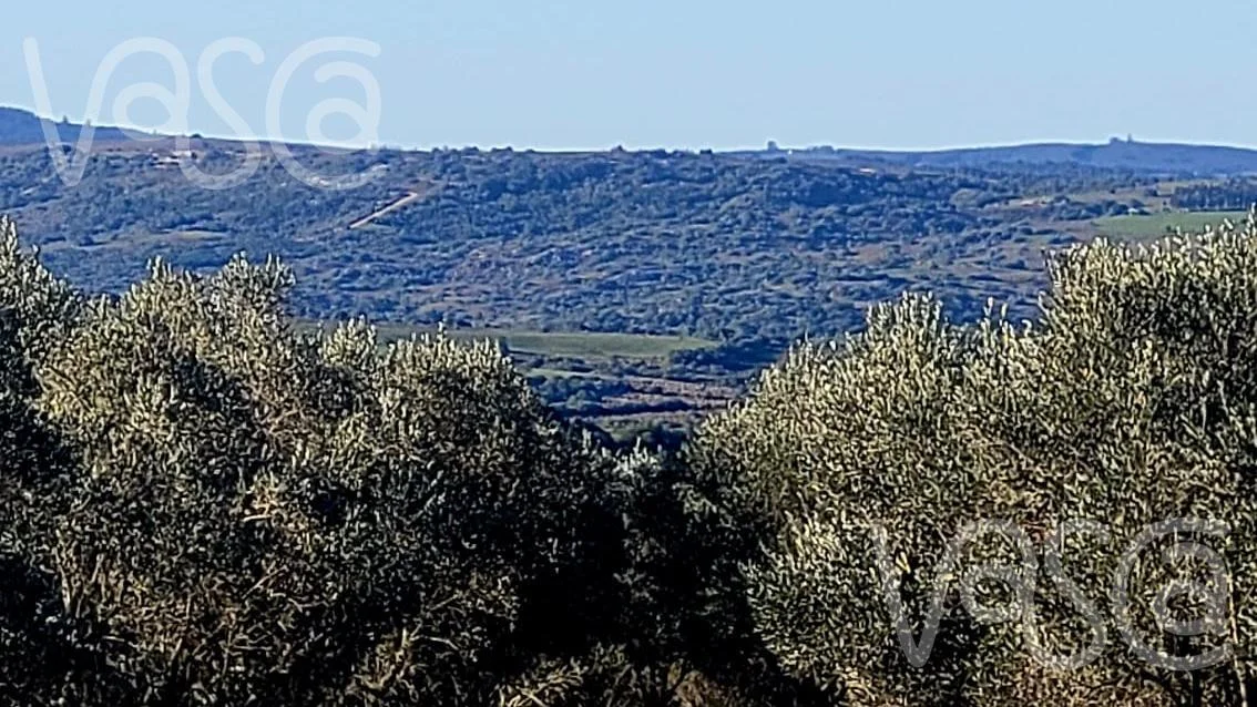 Chacra en Pueblo Eden, propiedad 277712 -Imagen 17