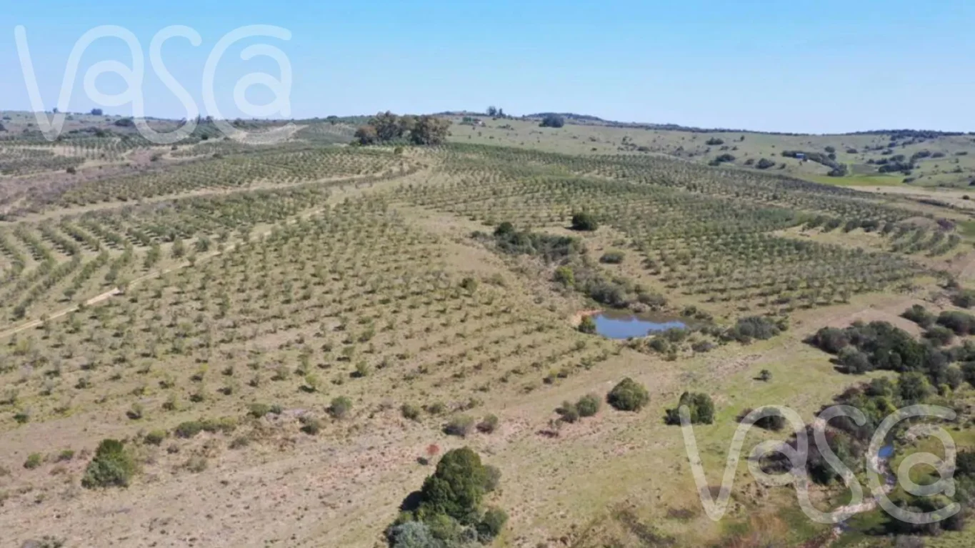 Chacra en Pueblo Eden, propiedad 277712 -Imagen 3