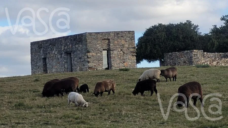 Chacra en Pueblo Eden, propiedad 277712 -Imagen 4