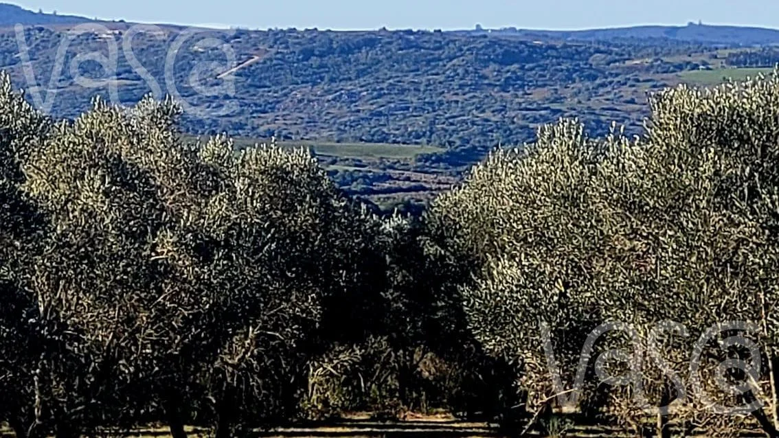 Chacra en Pueblo Eden, propiedad 277712 -Imagen 10