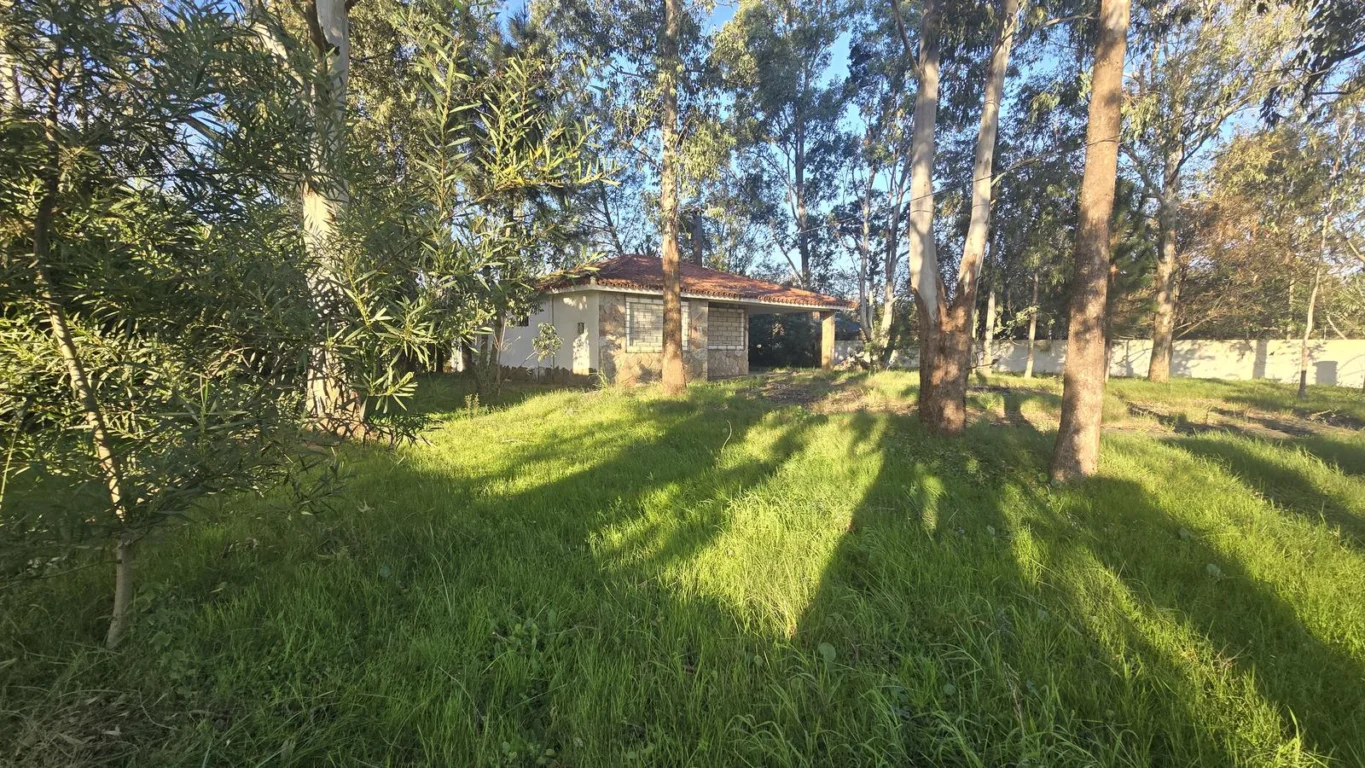 Casa en Las Toscas, propiedad 302064 -Imagen 2