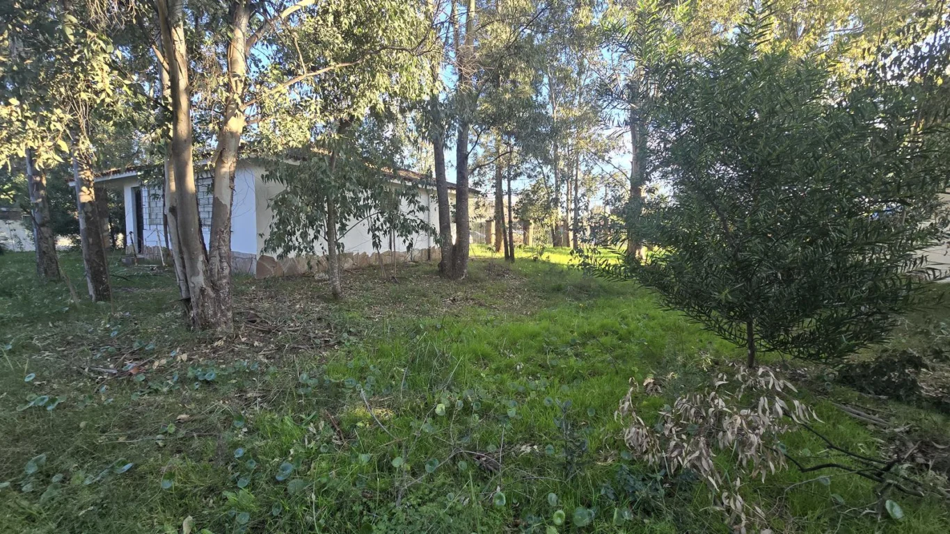 Casa en Las Toscas, propiedad 302064 -Imagen 14