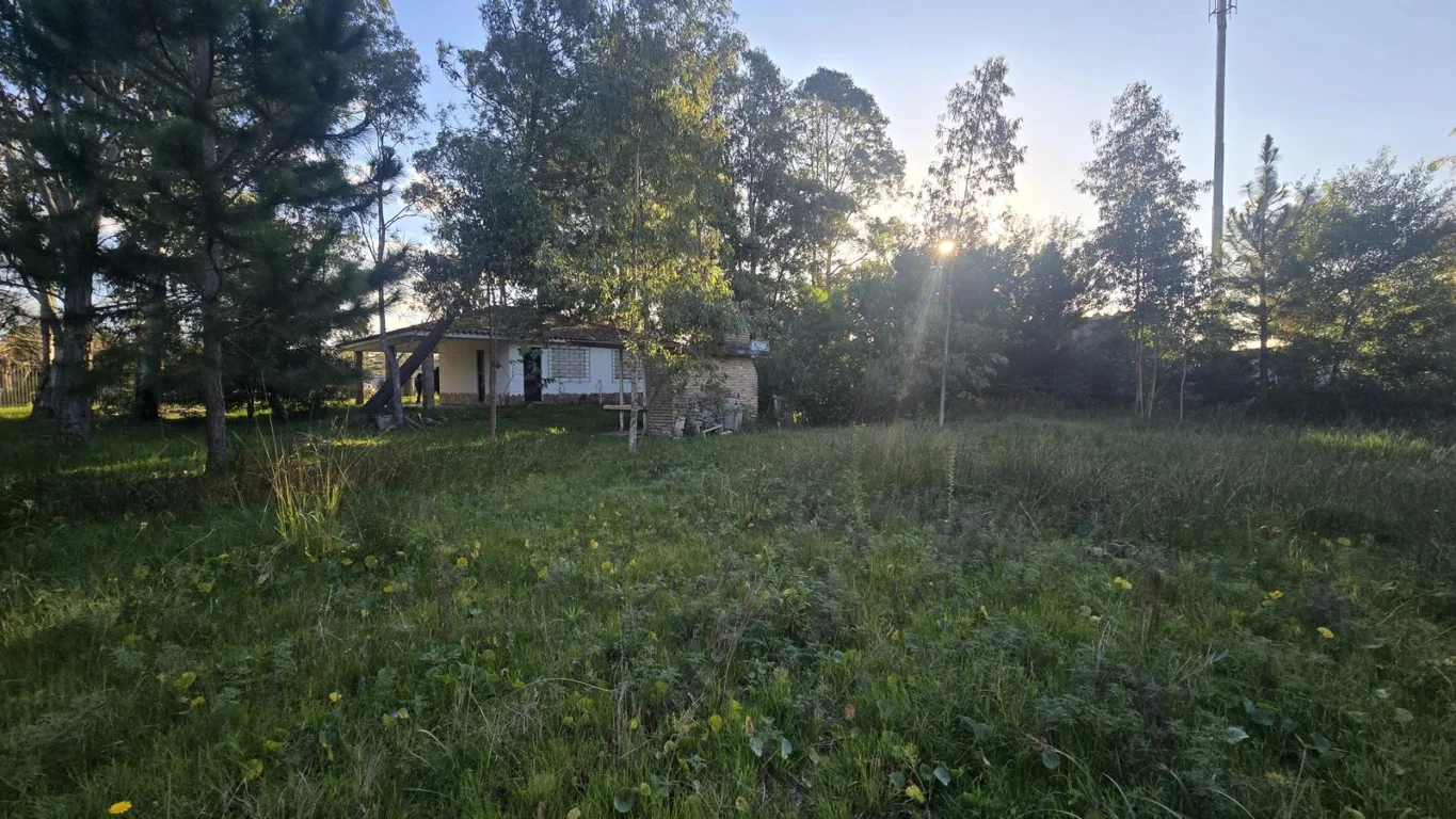 Casa en Las Toscas, propiedad 302064 -Imagen 15