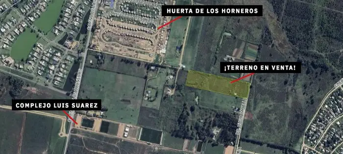 imagen  de la propiedad 184421