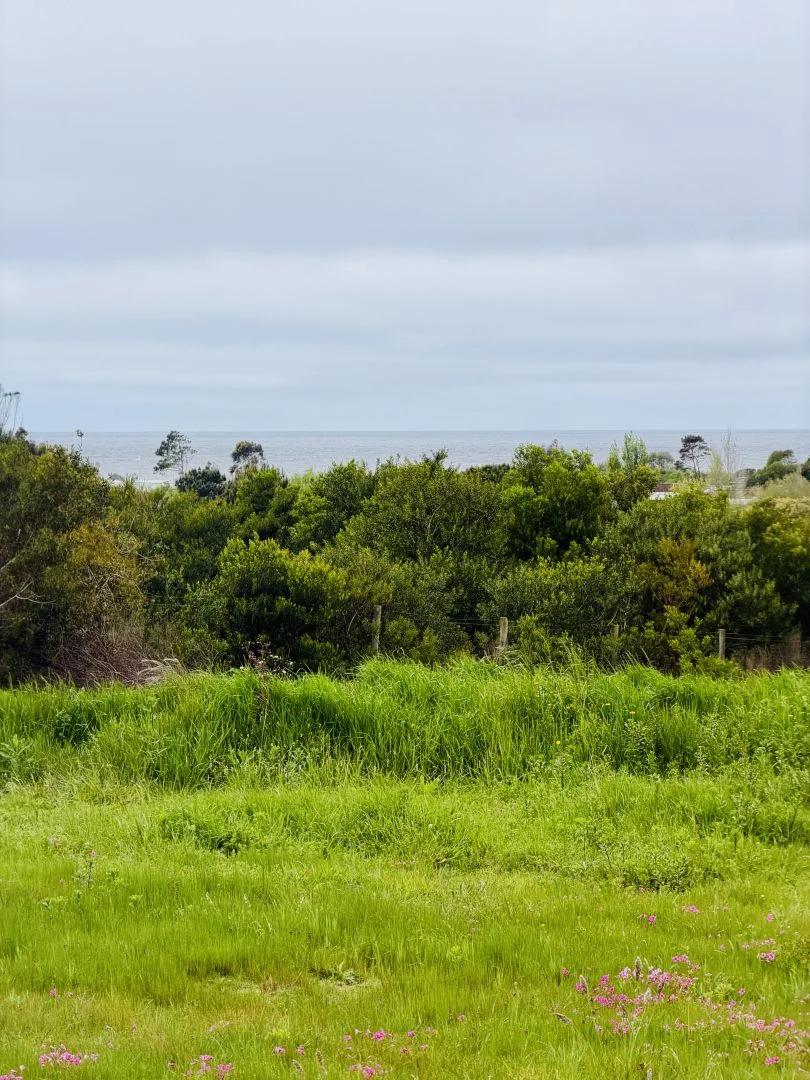 Terreno en El Chorro, propiedad 302070 -Imagen 2