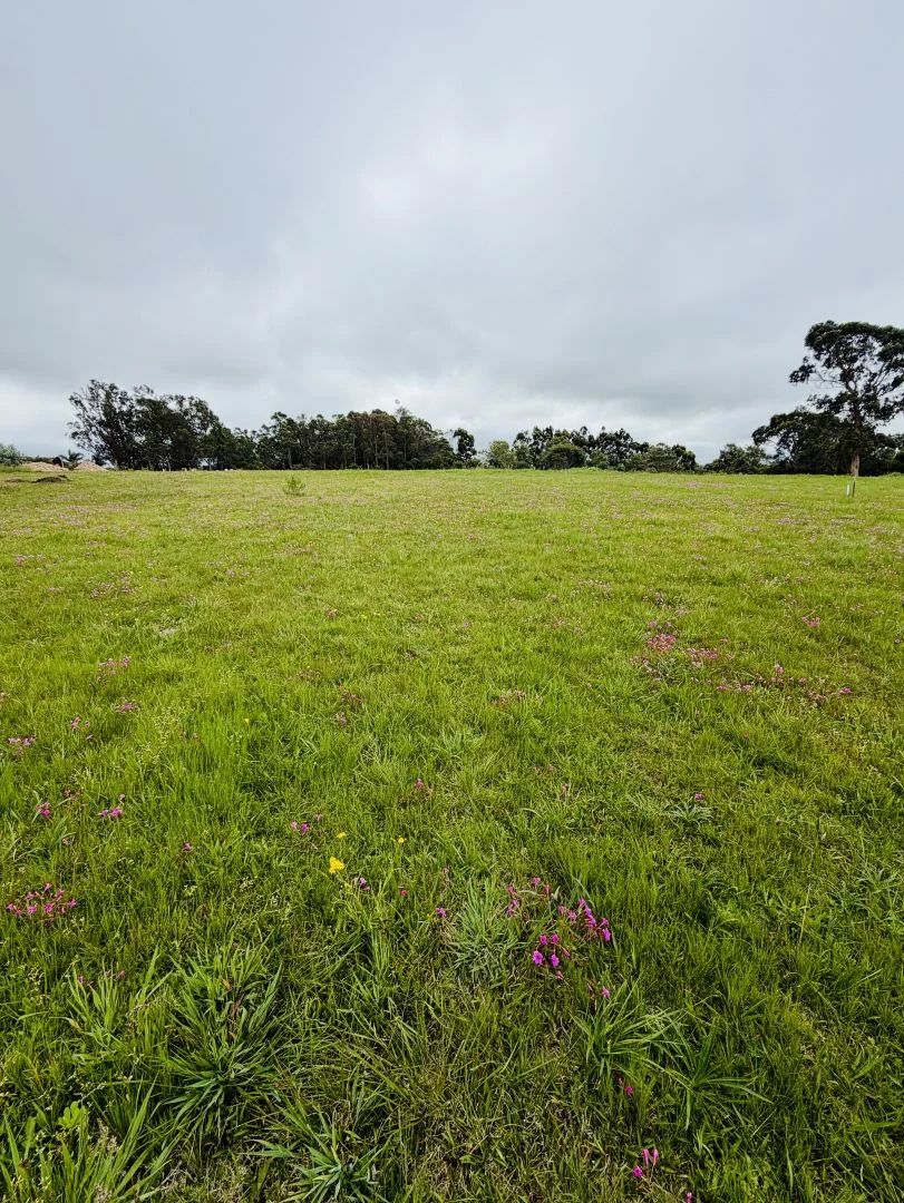 Terreno en El Chorro, propiedad 302240 -Imagen 3