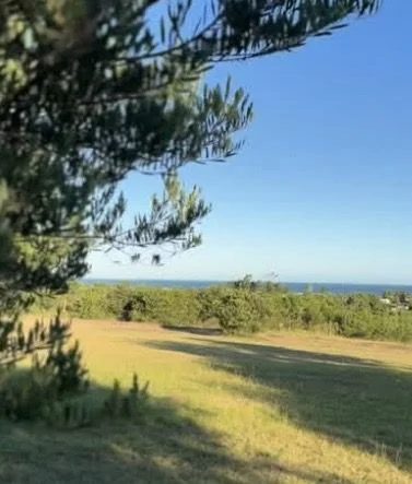 Terreno en El Chorro, propiedad 302240 -Imagen 7