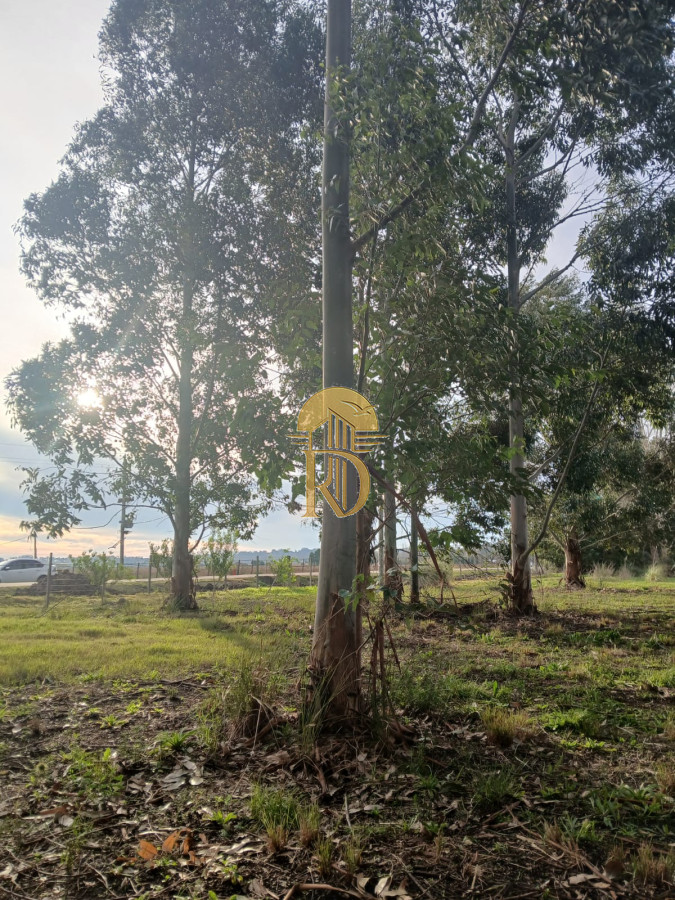 Terreno en Maldonado, propiedad 267734 -Imagen 4