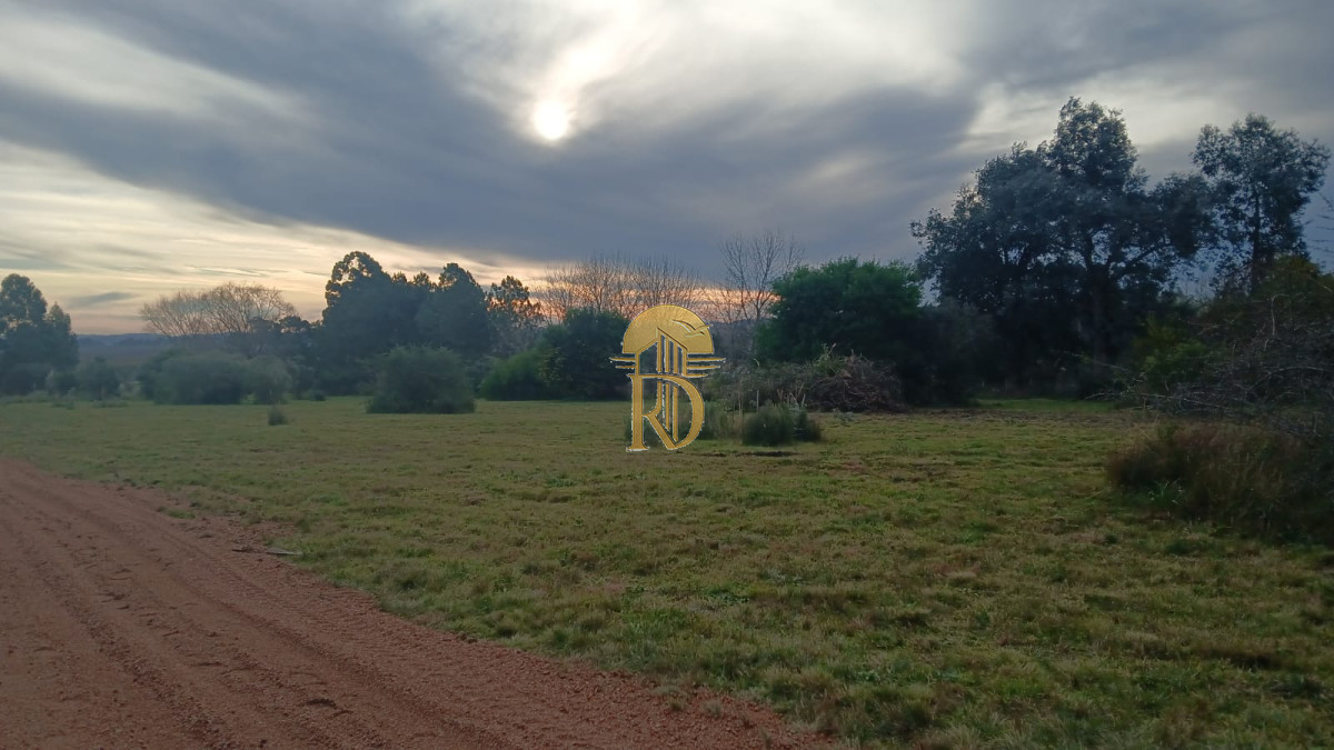 Terreno en Maldonado, propiedad 267734 -Imagen 7