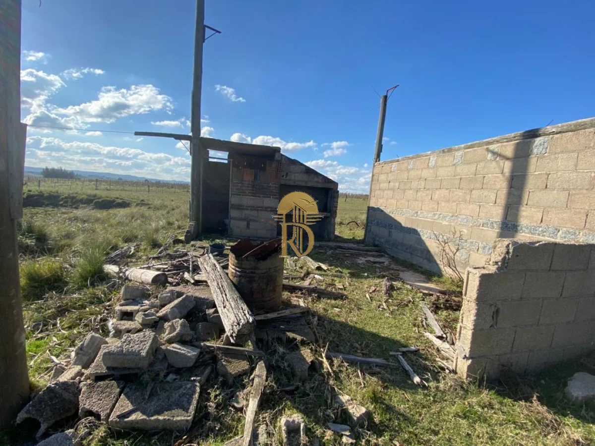 Chacra en San Carlos, propiedad 267792 -Imagen 18