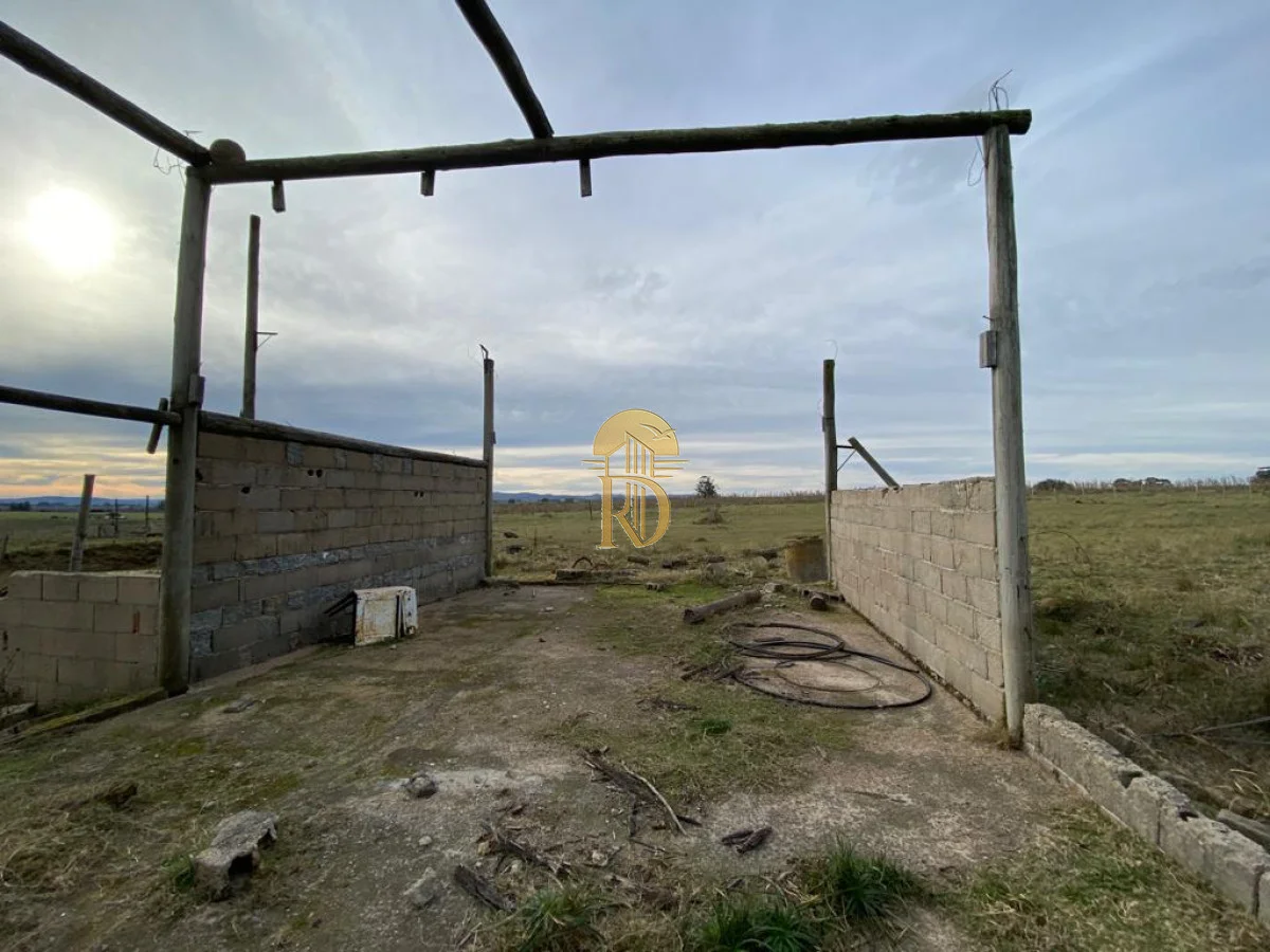 Chacra en San Carlos, propiedad 267792 -Imagen 20