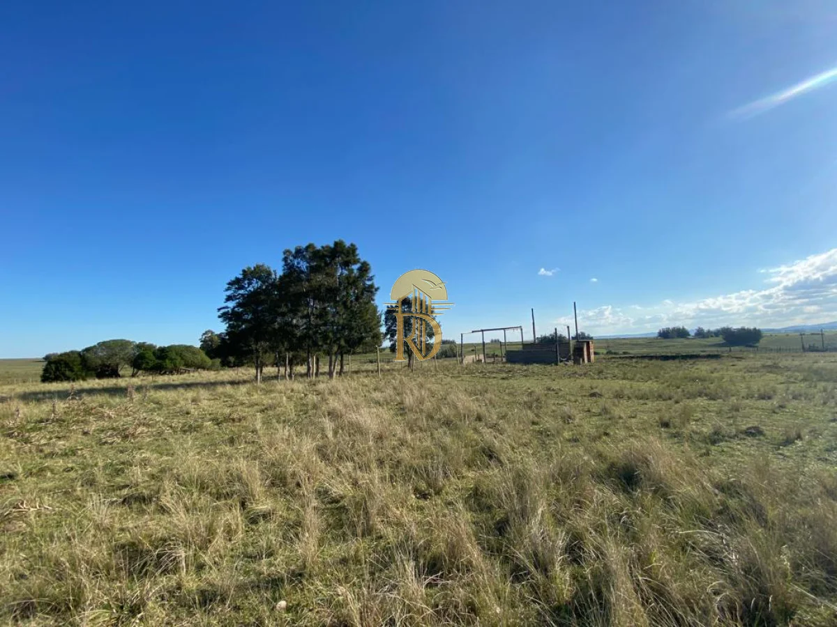Chacra en San Carlos, propiedad 267792 -Imagen 23