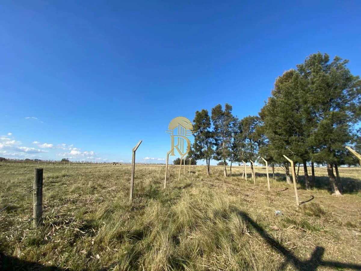Chacra en San Carlos, propiedad 267792 -Imagen 24