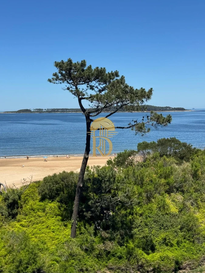 Apartamento en Playa Mansa, propiedad 277134 -Imagen 7