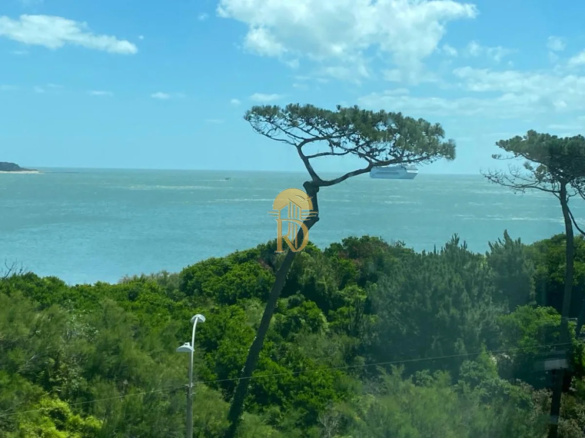 Apartamento en Playa Mansa, propiedad 277134 -Imagen 8