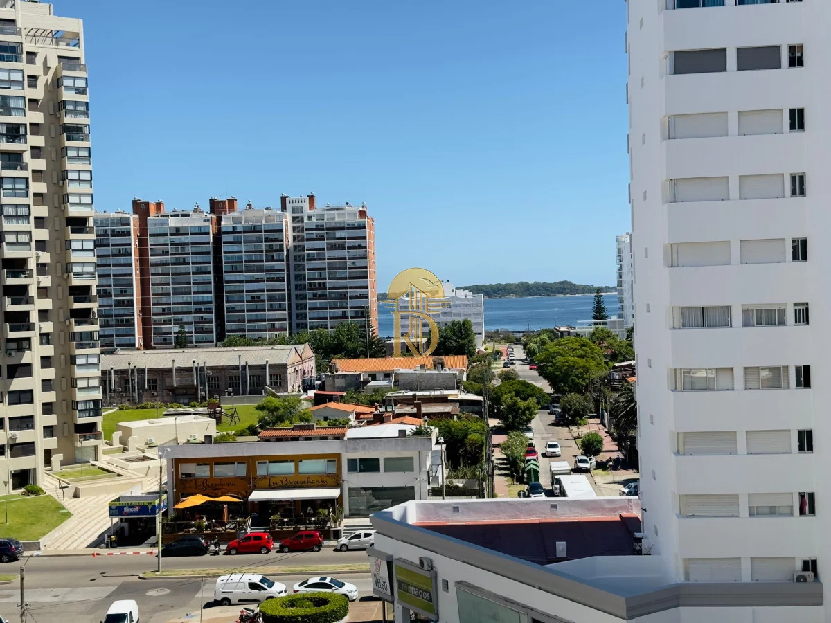 Apartamento en Playa Brava, propiedad 300587 -Imagen 2