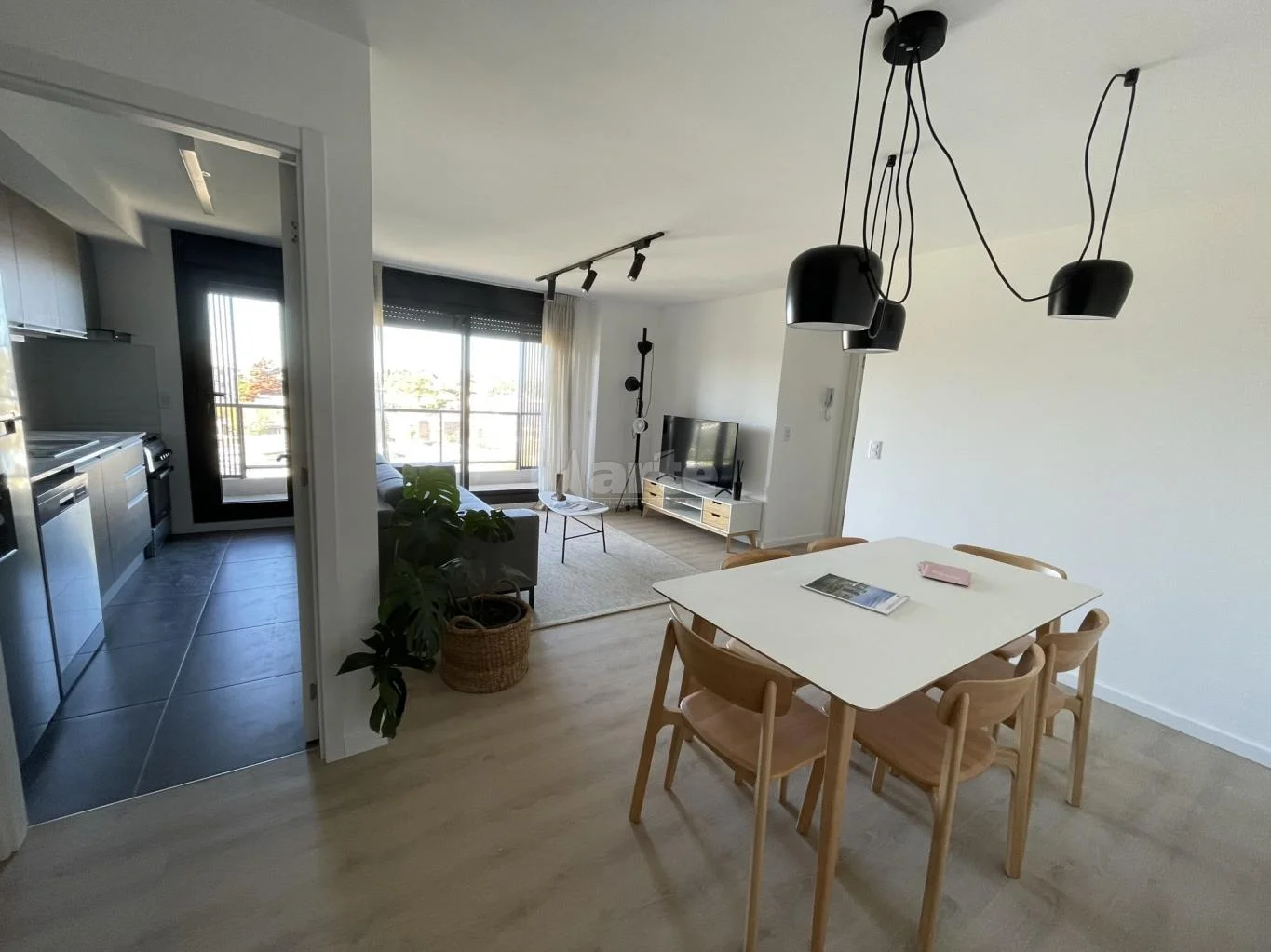 Apartamento en Punta Gorda, propiedad 239407 -Imagen 6