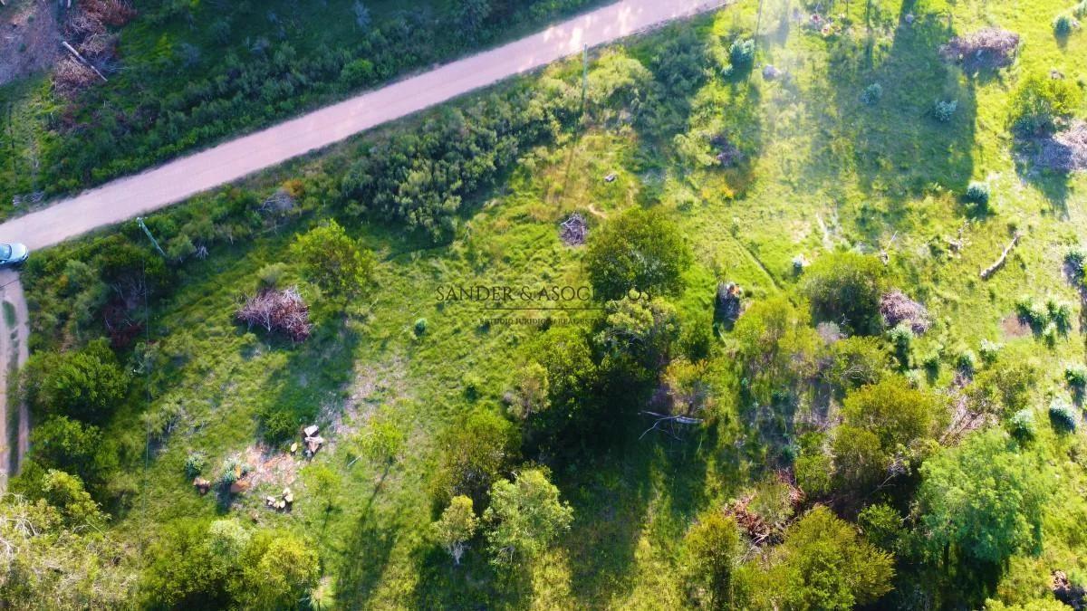 Terreno en Maldonado, propiedad 266777 -Imagen 3