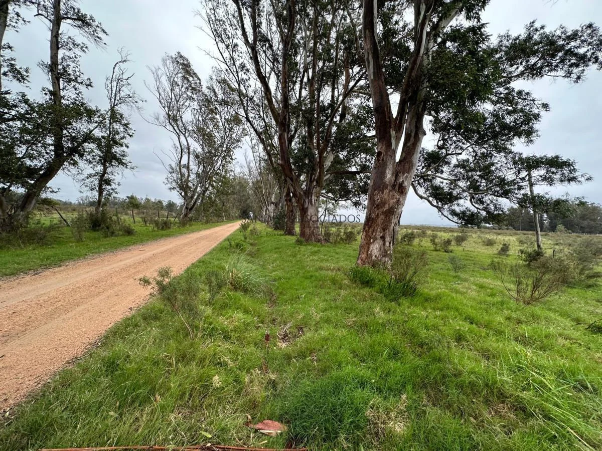 Terreno en Maldonado, propiedad 266780 -Imagen 2