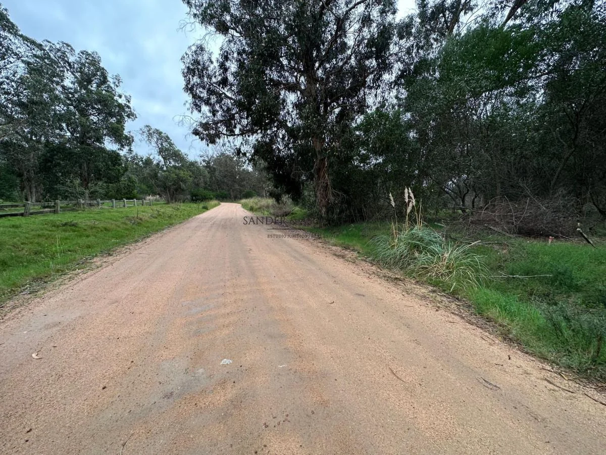 Terreno en Maldonado, propiedad 266780 -Imagen 4