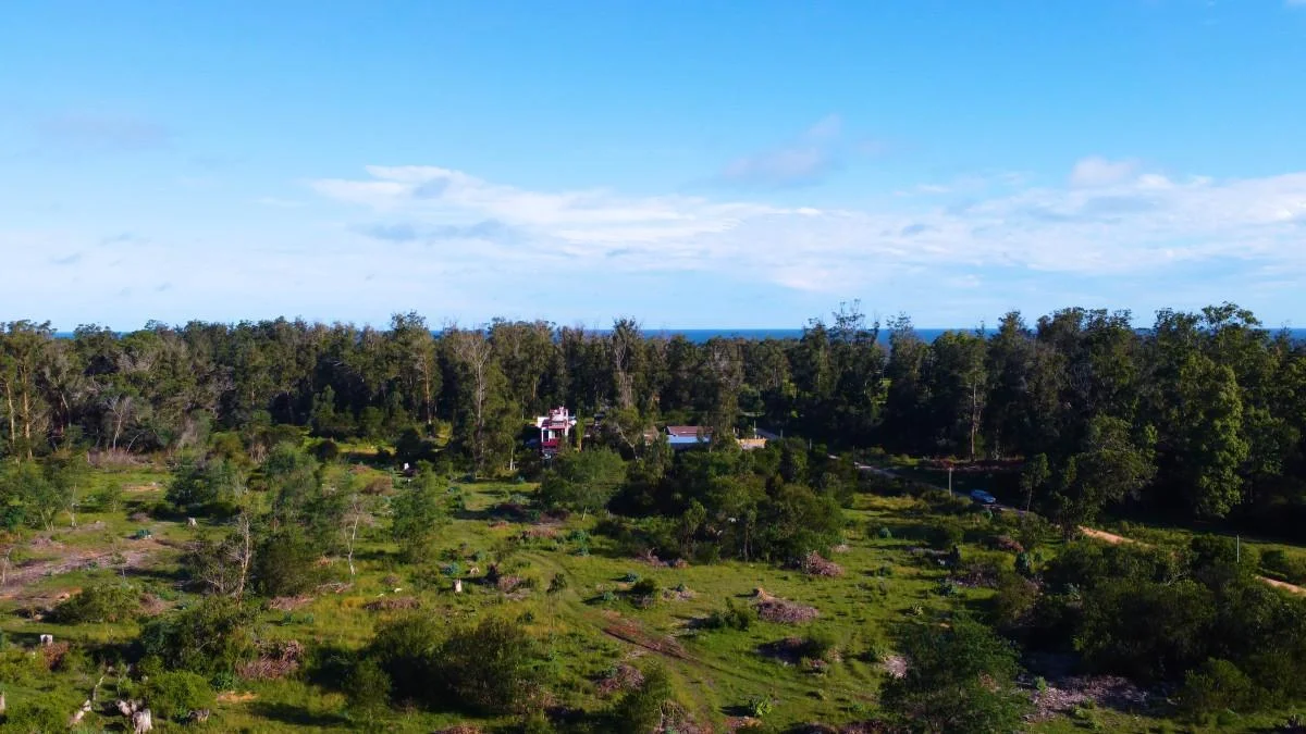 Terreno en Maldonado, propiedad 266780 -Imagen 7