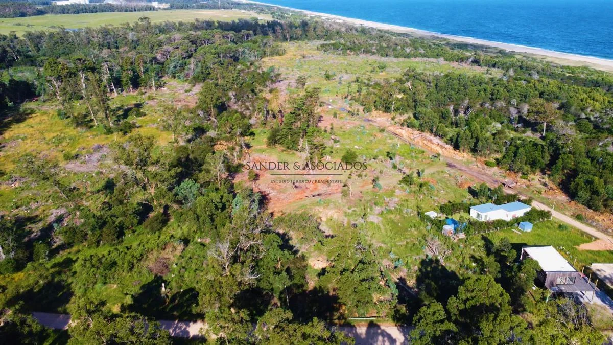 Terreno en Maldonado, propiedad 266780 -Imagen 10