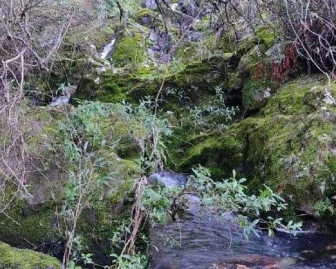 Chacra en Maldonado, propiedad 269005 -Imagen 4