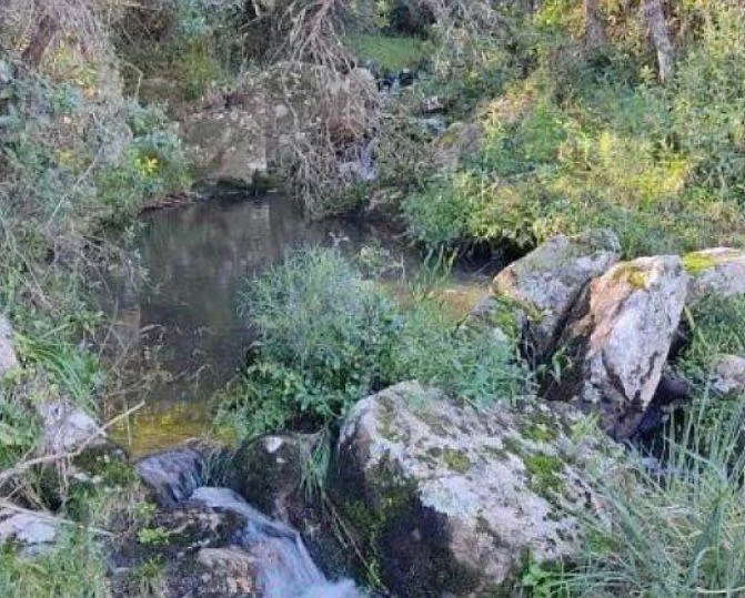 Chacra en Maldonado, propiedad 269005 -Imagen 5