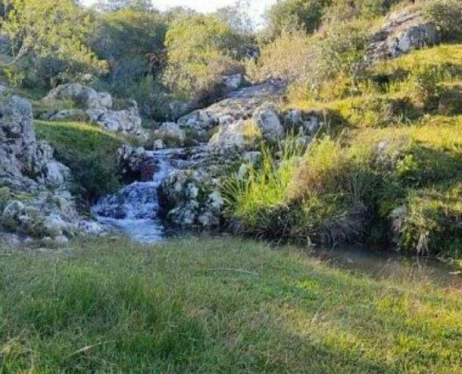 Chacra en Maldonado, propiedad 269005 -Imagen 6